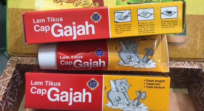 Lem Tikus Cap Gajah 13