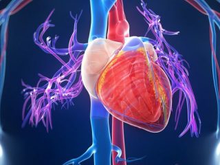 penyakit pembuluh darah