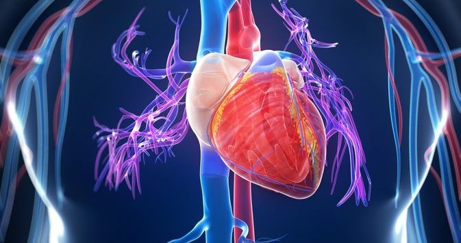 penyakit pembuluh darah