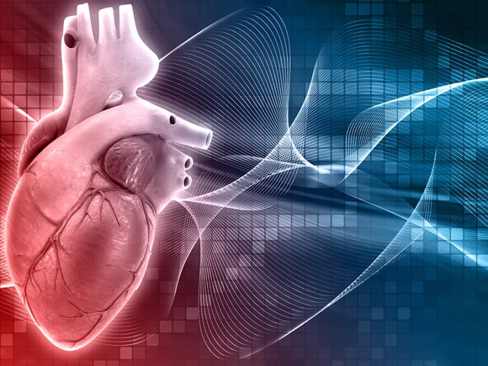 electrophysiology-detail
