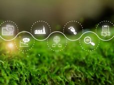 sustainability report