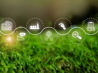 sustainability report