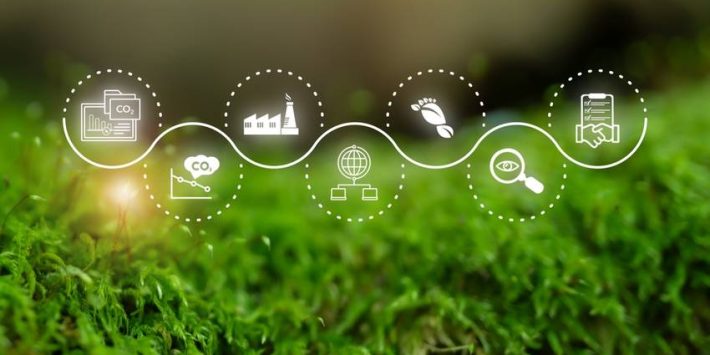 sustainability report